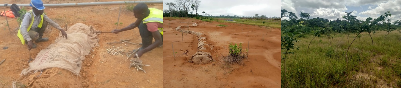 Régénération assistée et restauration rapide du couvert végé…